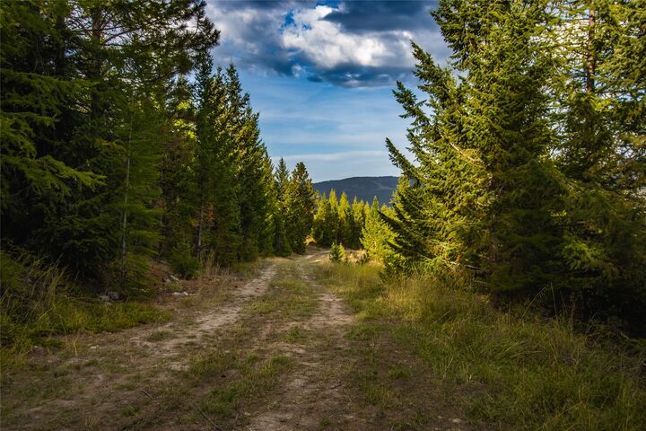 Property Photo:  Nhn & 232 Wild Bill Trail  MT 59920 