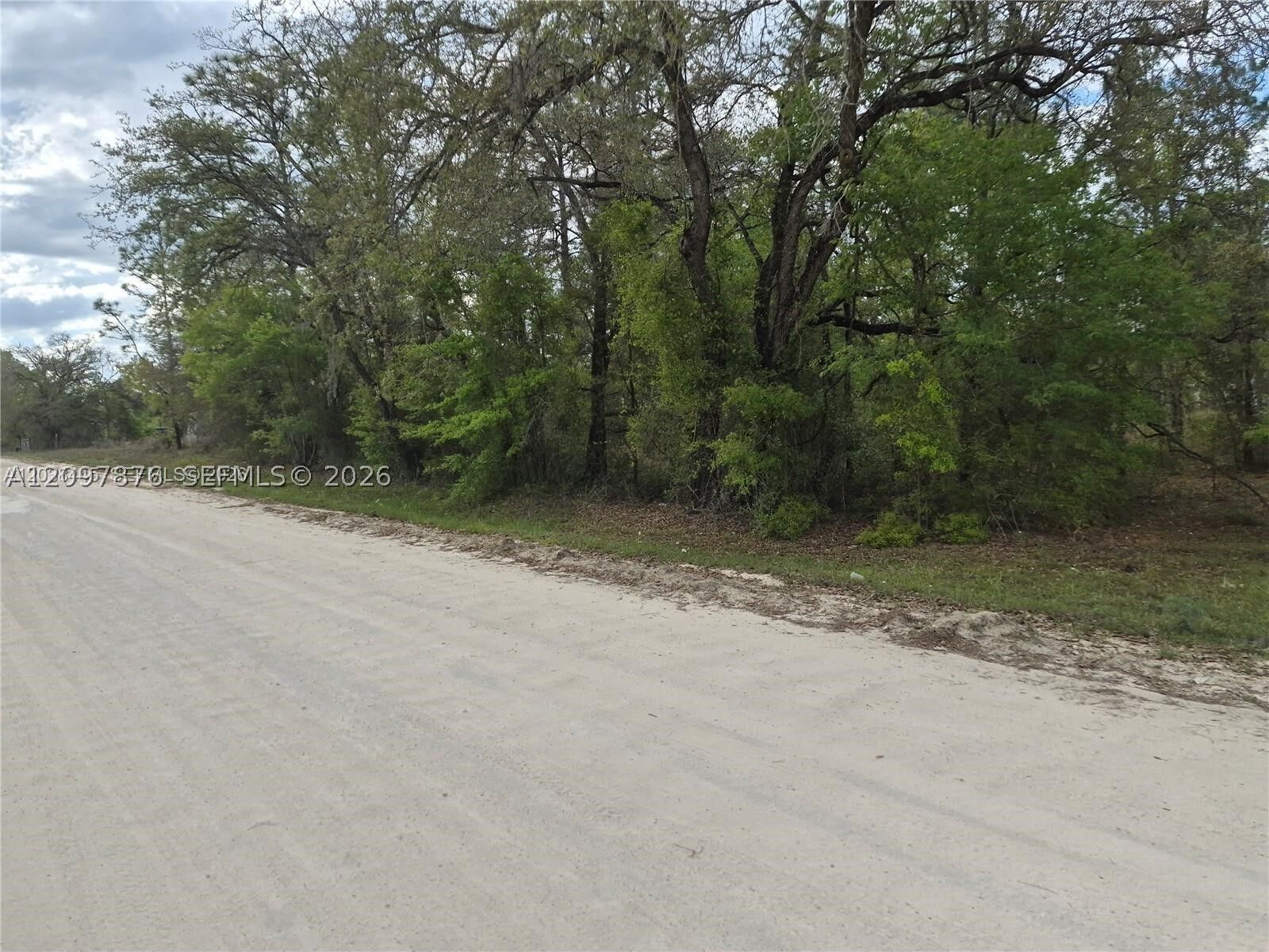 Property Photo:  00 NE NE 4th St  FL 32696 
