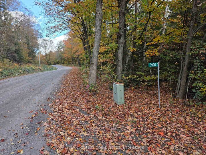 Property Photo:  3907 Stisted Road  ON P0A 1Y0 