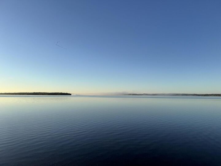Property Photo:  8008 Paradise Trail  MI 49718 