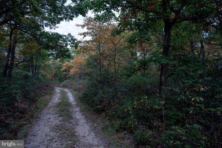 Property Photo:  0 Spring Lick Trail  PA 16822 