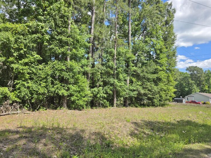 Property Photo: 920 Shane Lane SC 29461