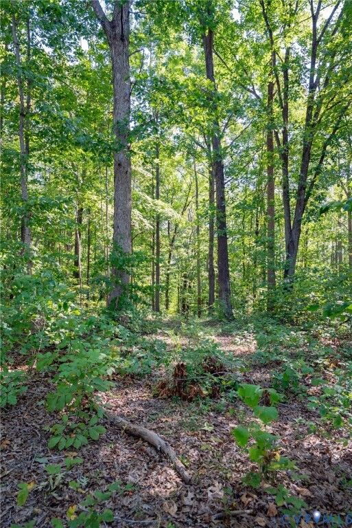 Property Photo:  00 Mountain Hall Road  VA 23930 