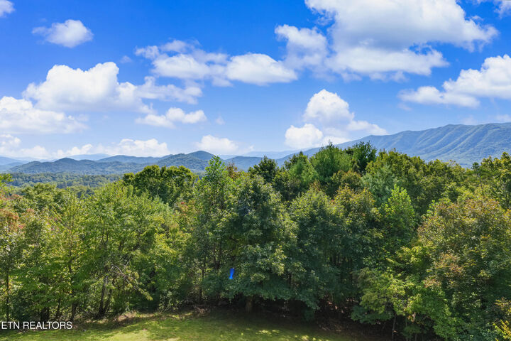 Property Photo: 146 Tolliver Trail TN 37882