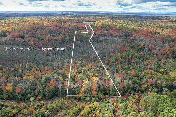 Property Photo: 535 Bert Gray Road ME 04664