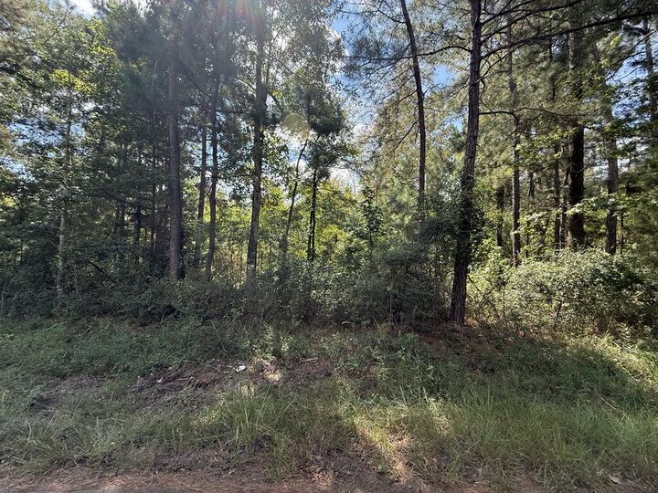 Property Photo:  R32312 Sandy Creek Road  TX 75980 