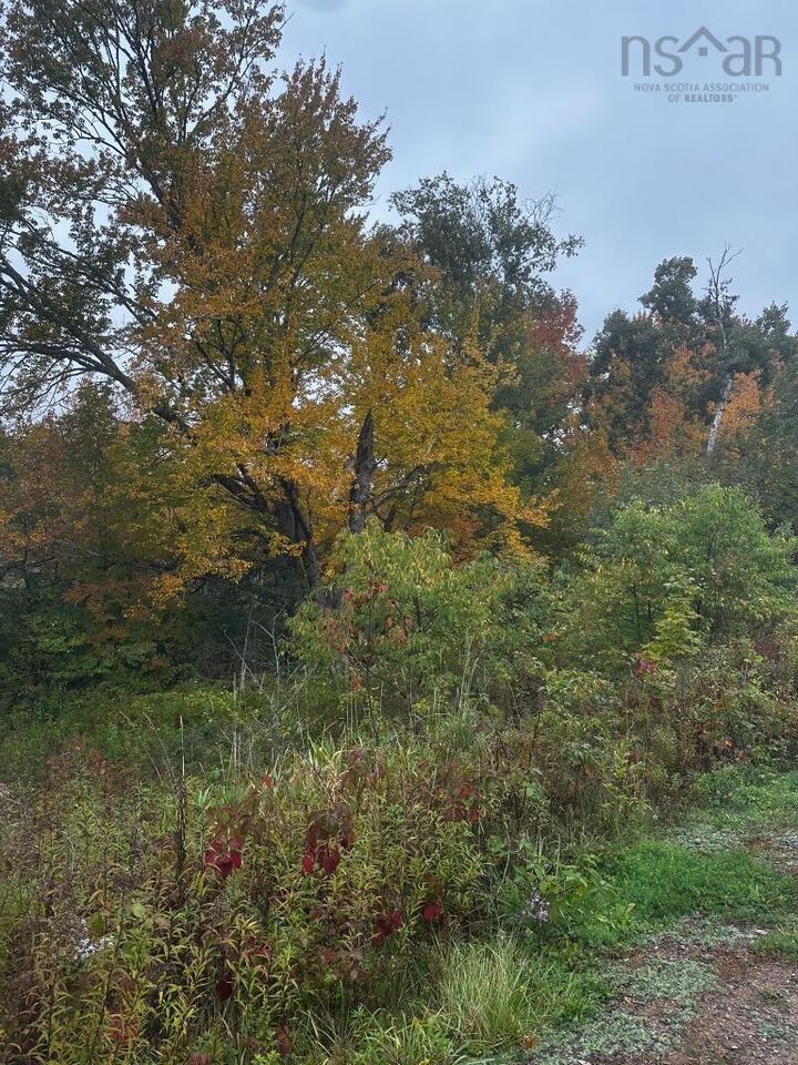 Property Photo:  Lot Huntington Point Road  NS B0P 1J0 