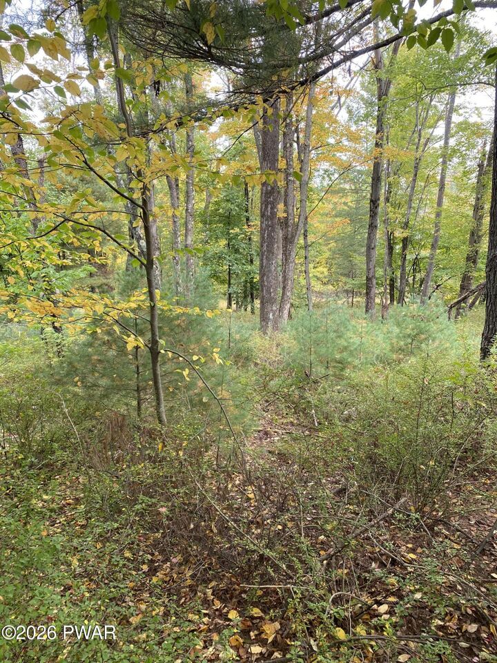 Property Photo:  111 Koch Road  PA 18464 