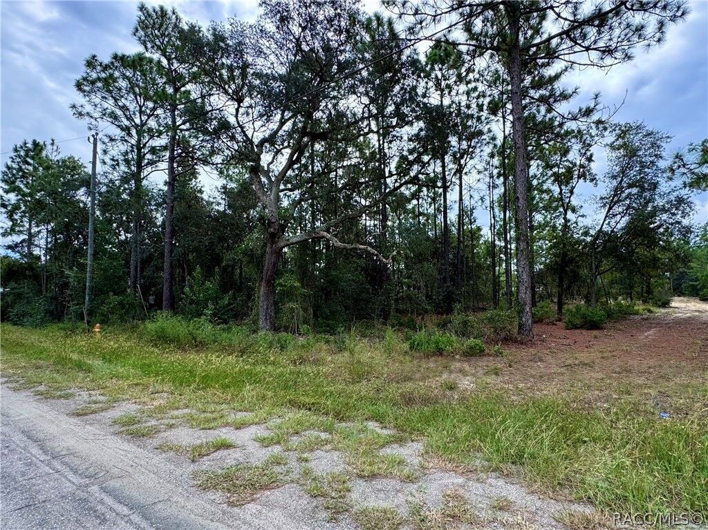 Property Photo:  2854 W Andromedae Drive  FL 34433 
