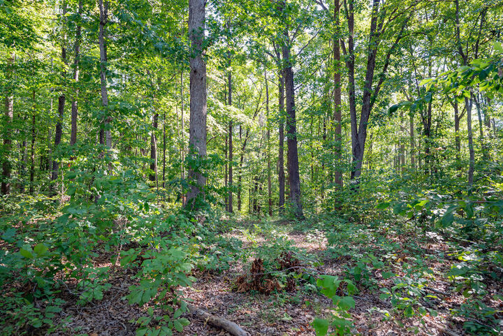 Property Photo:  00 Mountain Hall  VA 23930 