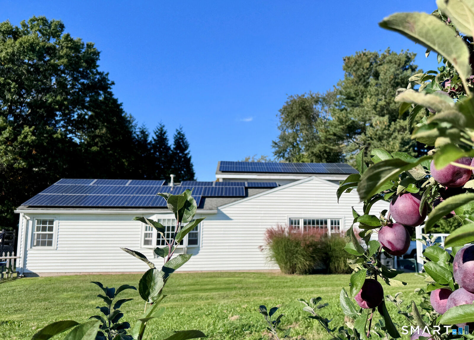 Property Photo:  183 Powder Hill Road  CT 06455 