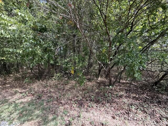 Property Photo:  0 Walnut Circle  MO 65650 