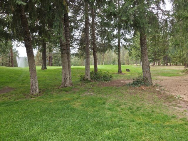 Property Photo:  556 Palmer Ln  WA 99109 