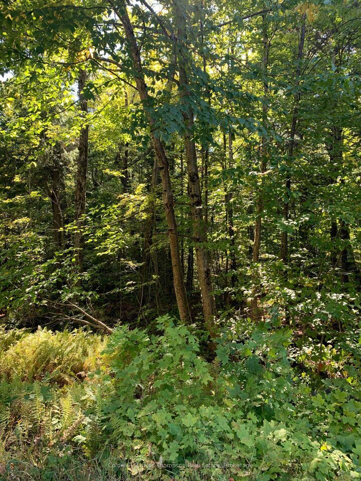 Property Photo:  00 Ahmic Lake Road  ON P0A 1P0 
