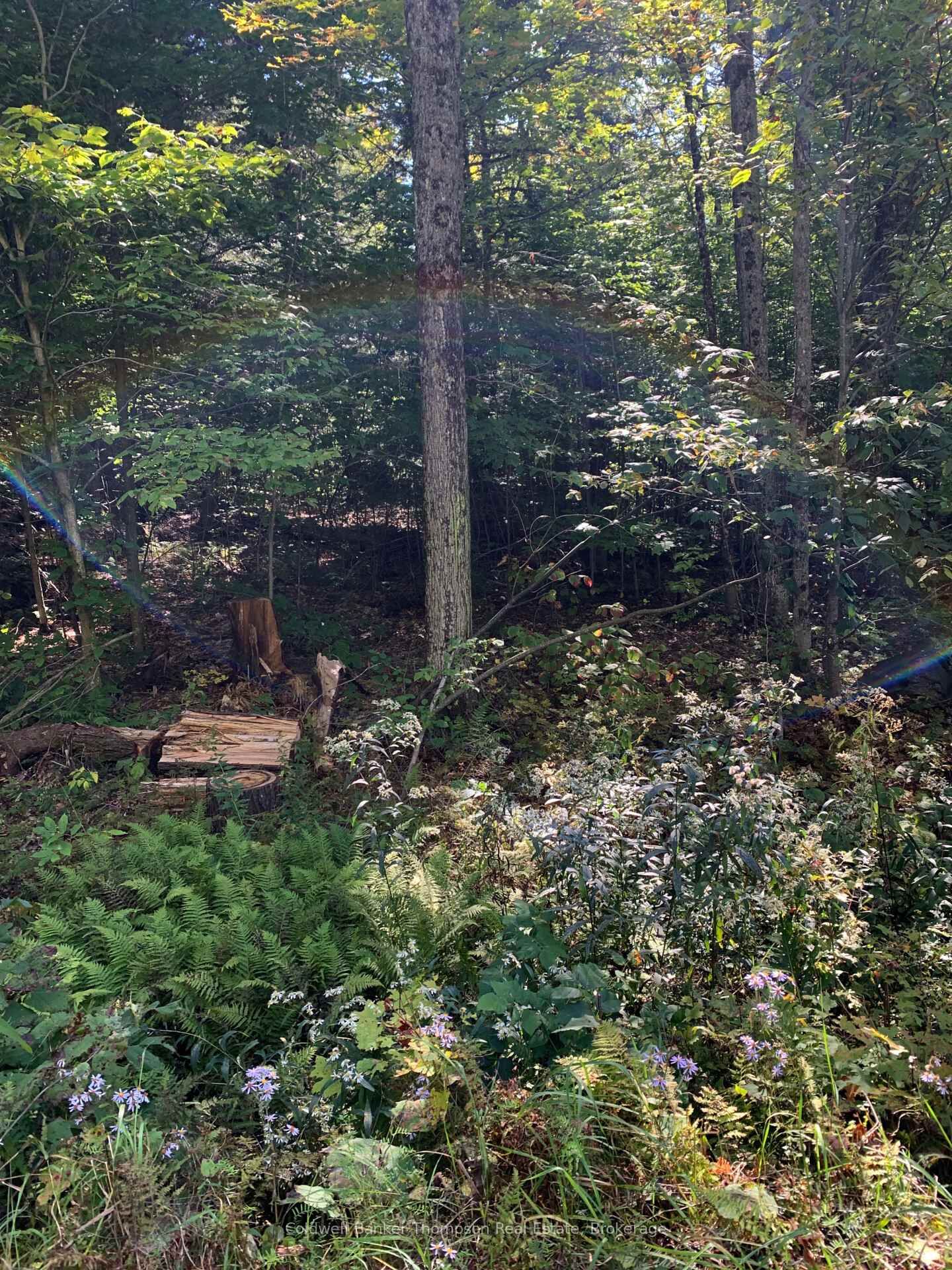 Property Photo:  0 Ahmic Lake Road  ON P0A 1P0 