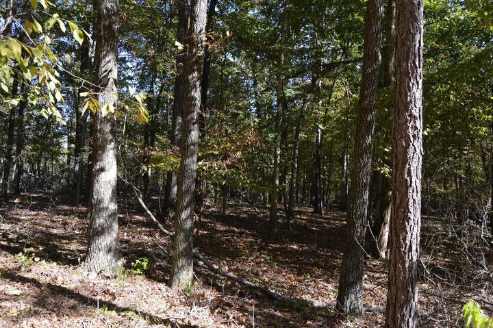 Property Photo:  00 Kelley  AR 72002 