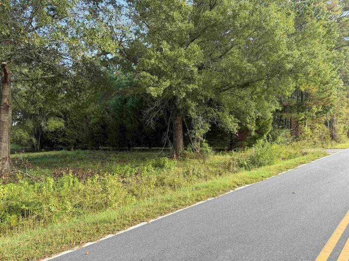 Property Photo:  Tract 3 Wise Rd.  SC 29526 