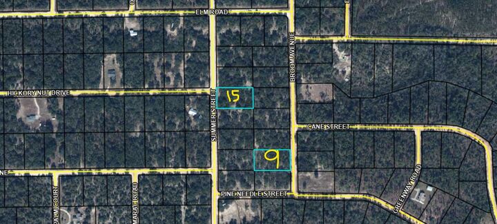 Property Photo: Lot 15 Broom Avenue FL 32448