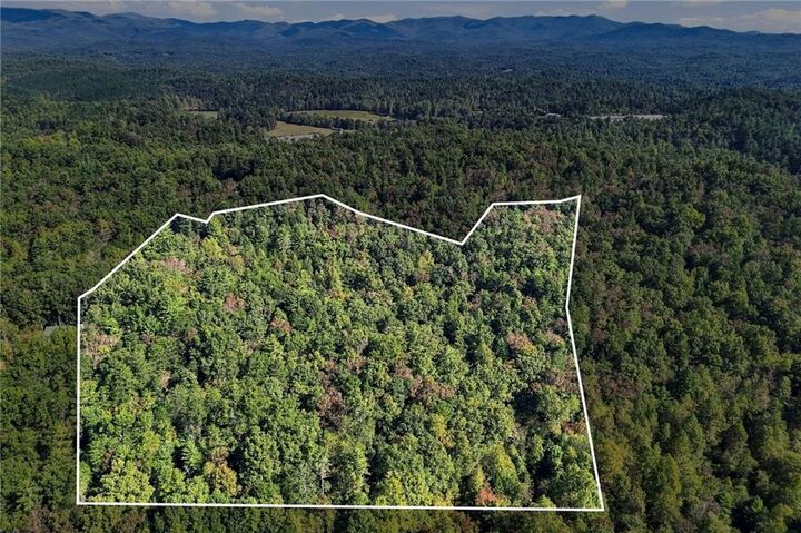 Property Photo:  108 Charlottes Web Lane  GA 30540 
