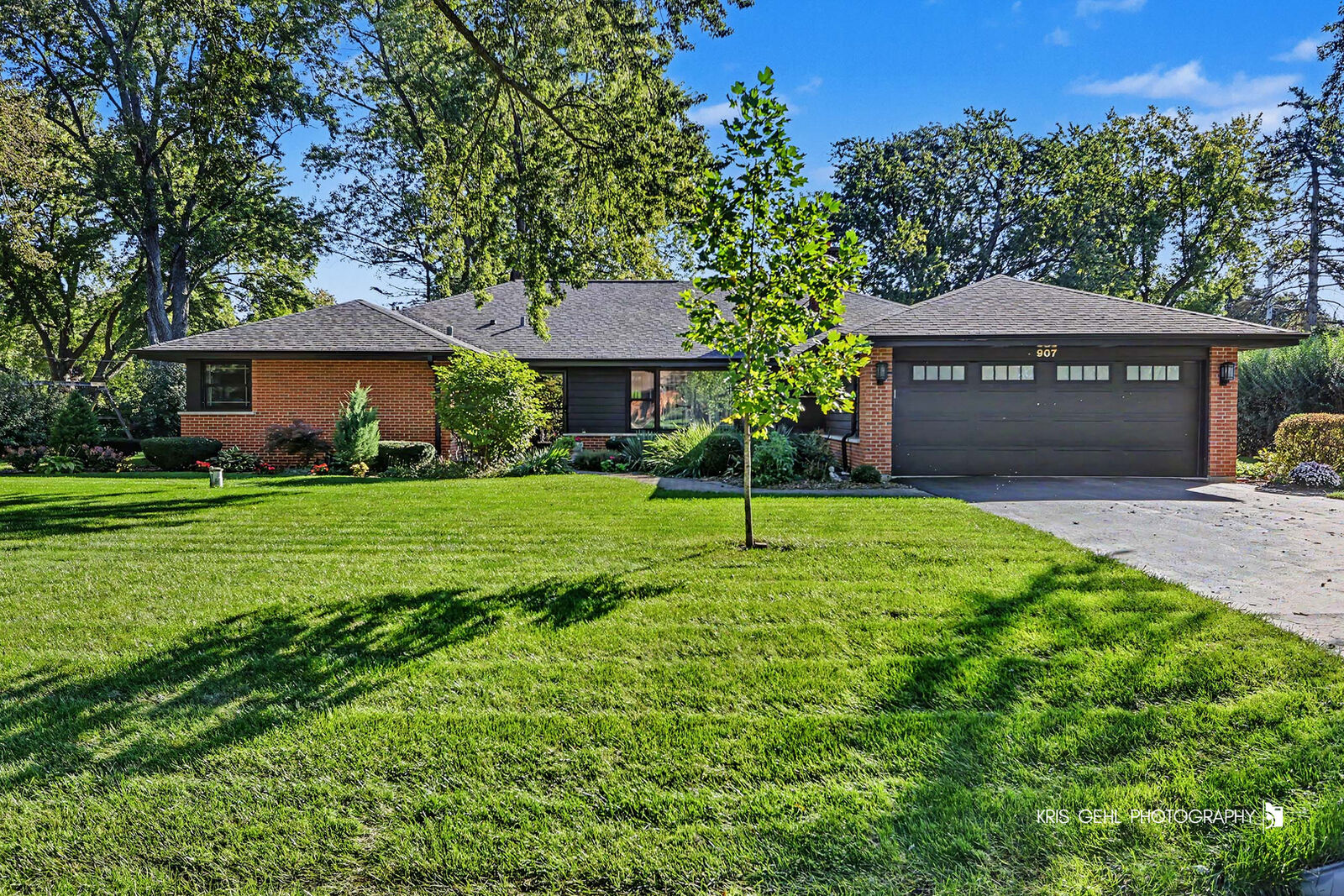 Property Photo:  907 Sherwood Drive  IL 60070 