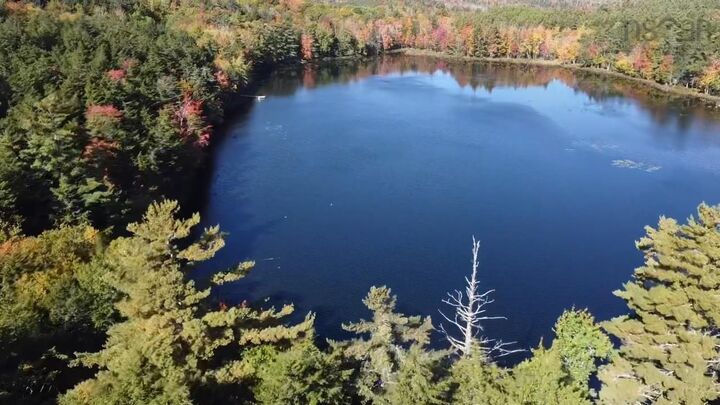 Property Photo:  95 Natural Forest Lake Road  NS B0R 1A0 