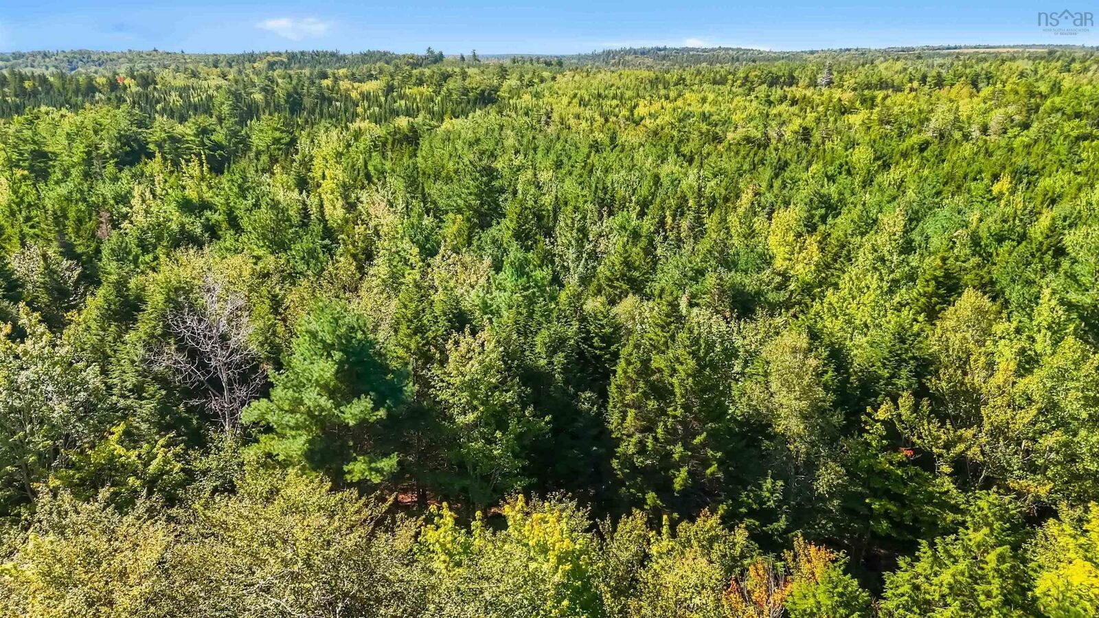 Property Photo:  103 Arenburg Road  NS B4V 8X9 