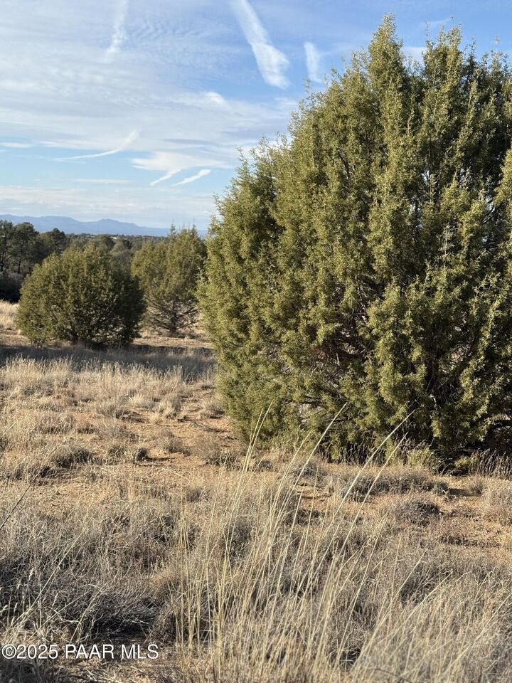 Property Photo: 00 Young Road AZ 86305