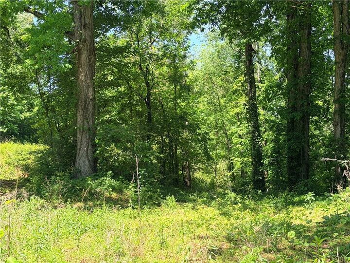 Property Photo: 0 Old Hwy 5 S GA 30540