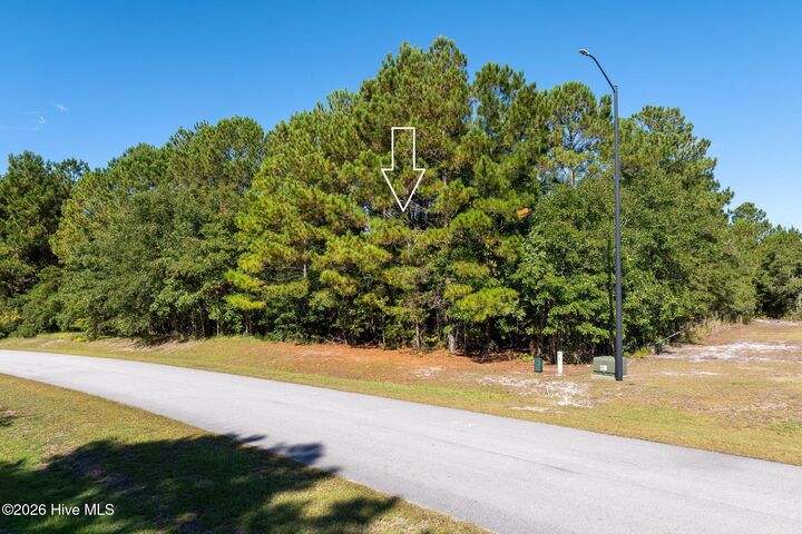 Property Photo:  145 31 Royal Palms Way  NC 28445 
