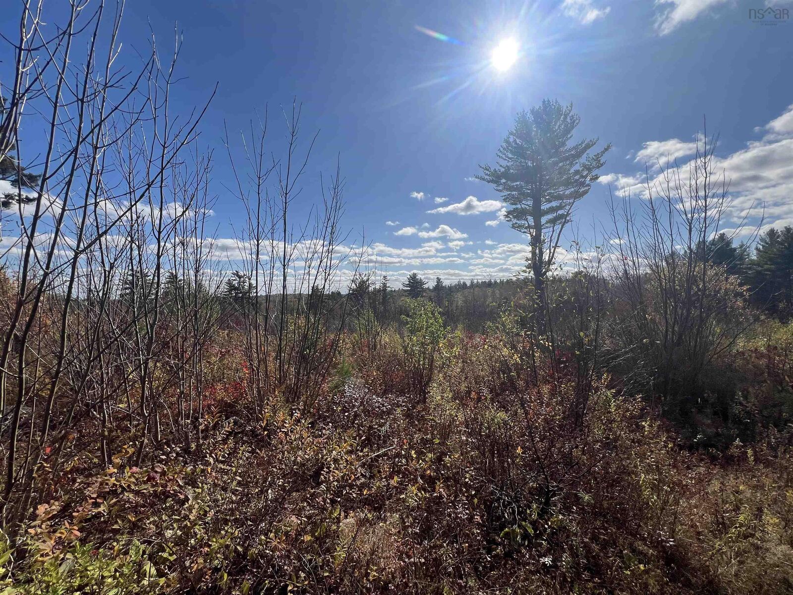 Property Photo:  5896 Highway 8 Highway  NS B0S 1A0 