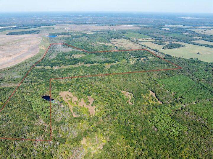Property Photo:  2937 County Road 2356  TX 75436 