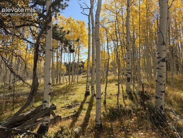 Property Photo:  417 Aspen Way Drive  CO 80816 