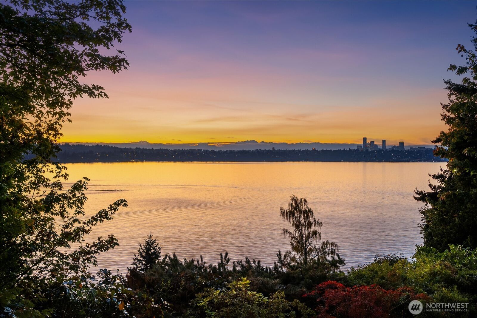 Property Photo: 4429 Forest Avenue SE WA 98040