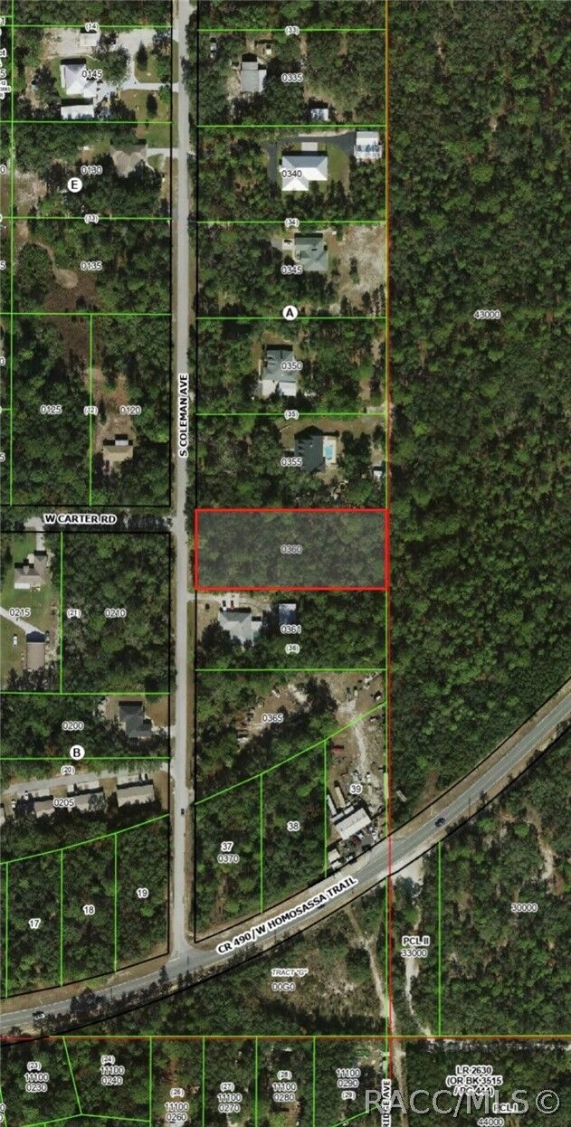 Property Photo:  2823 S Coleman Avenue  FL 34448 