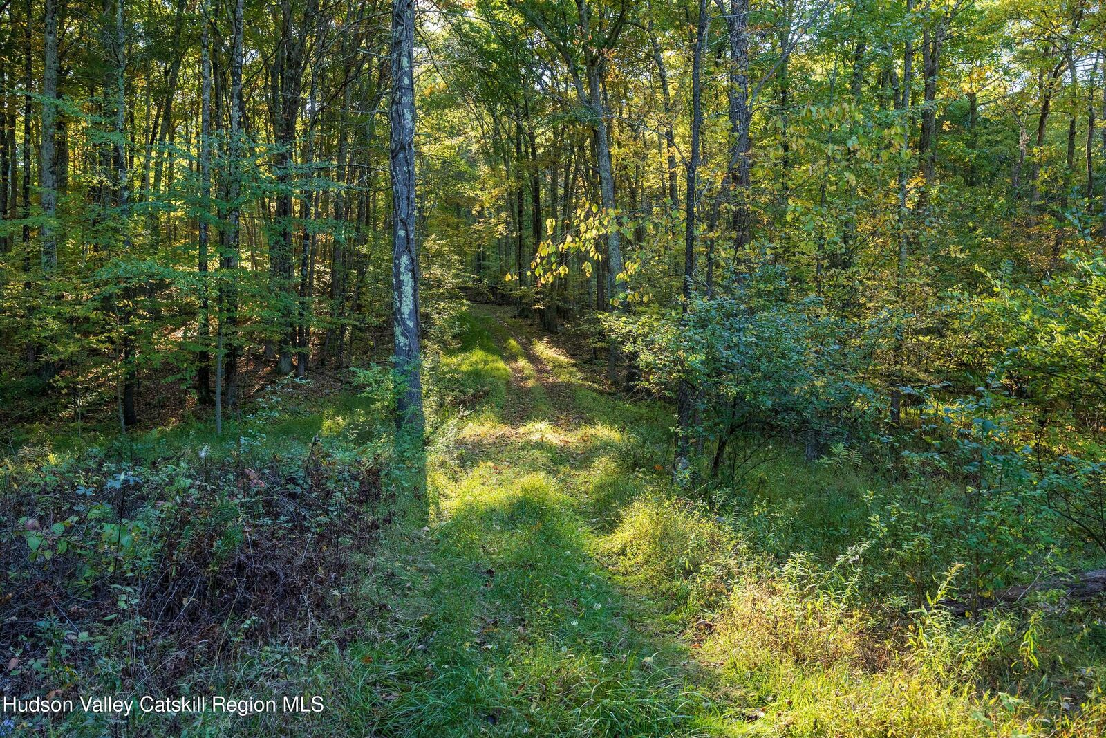 Property Photo:  8780 New York 32  NY 12431 