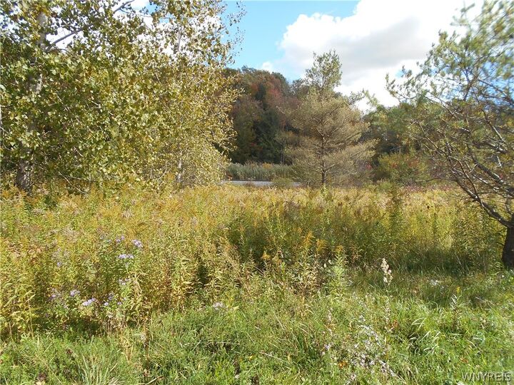 Property Photo:  10628 Route 16  NY 14042 