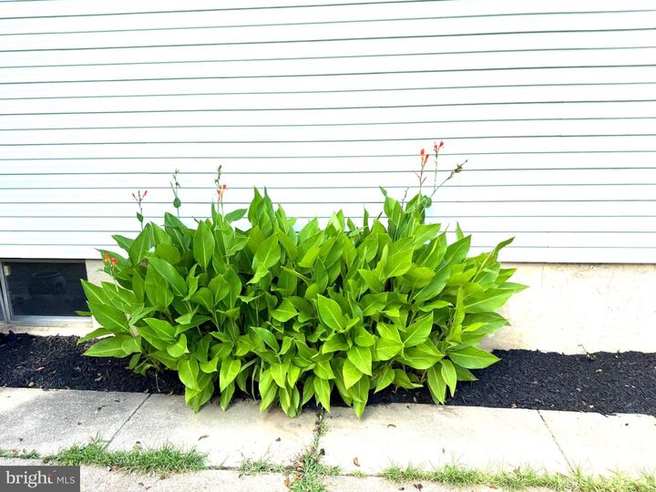 Property Photo:  3726 Springdell Avenue  MD 21133 