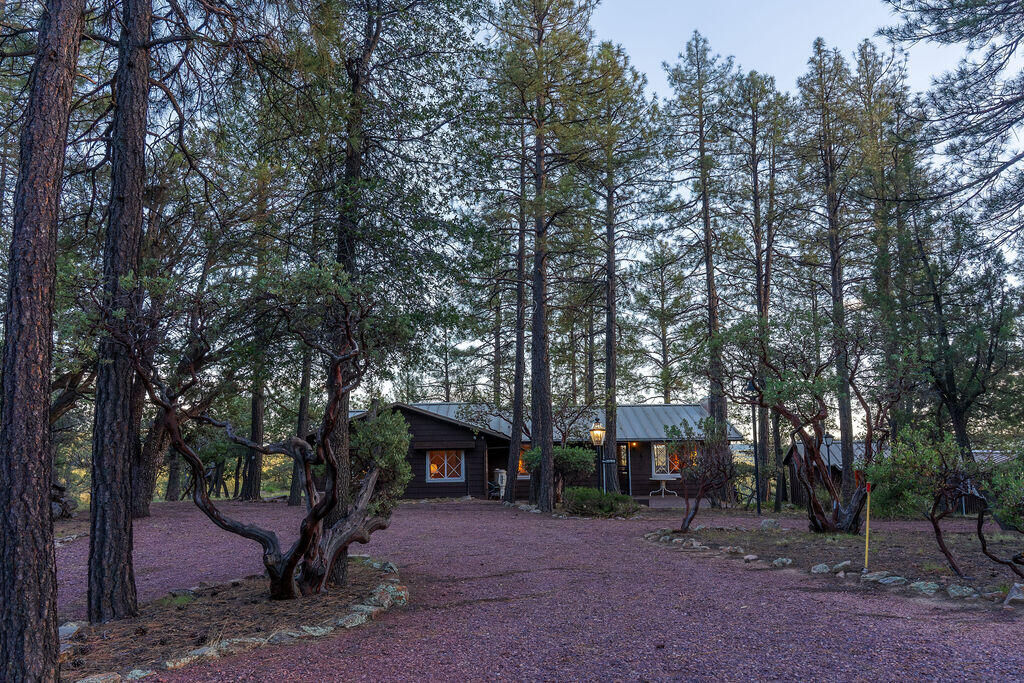 Property Photo:  187 W Knoll Drive  AZ 85541 