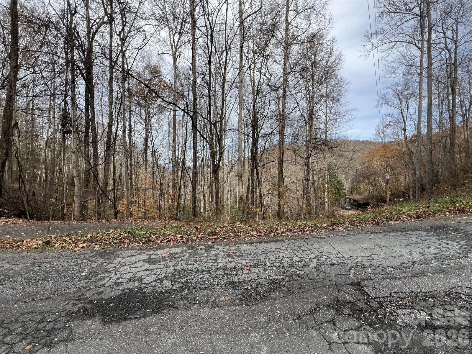 Property Photo:  Lot 7 Deer Ridge Road  NC 28713 