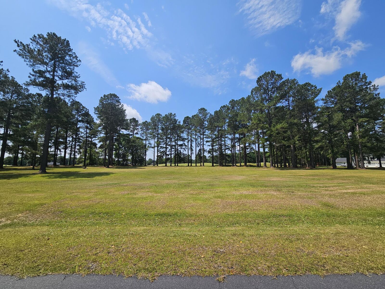 Property Photo:  423 Pinelake Court  SC 29102 