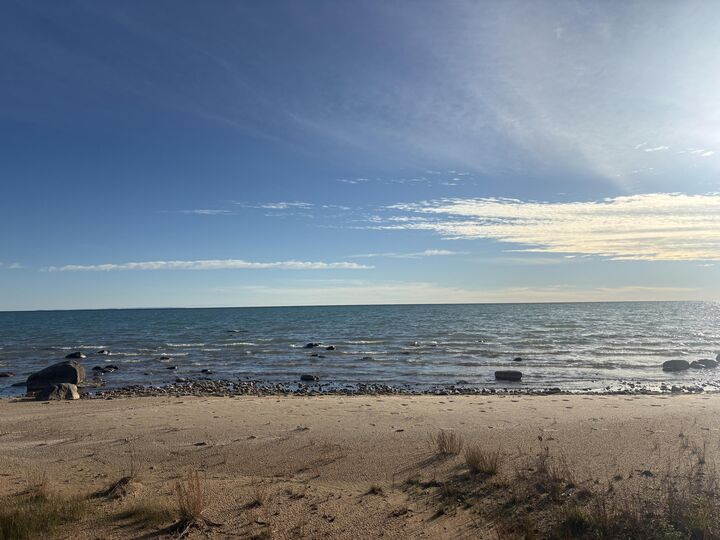 Property Photo:  4429 Wildwood Ln  MI 49760 
