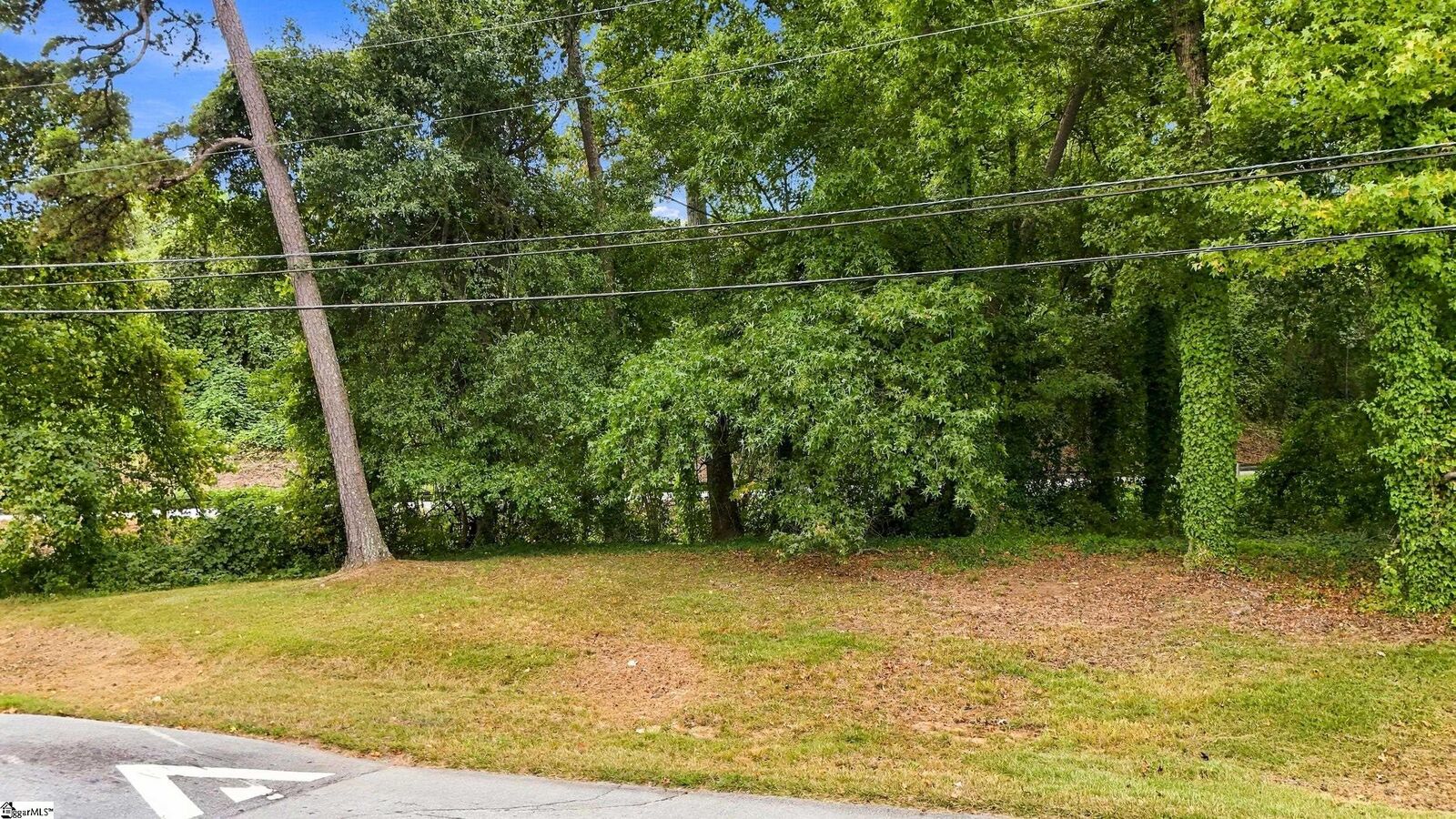Property Photo: 3 Balfer Drive SC 29615