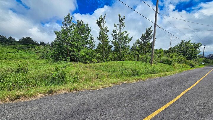 Property Photo: Bamboo Ln HI 96737