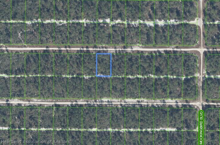 Property Photo:  629 Parakeet Avenue  FL 33872 