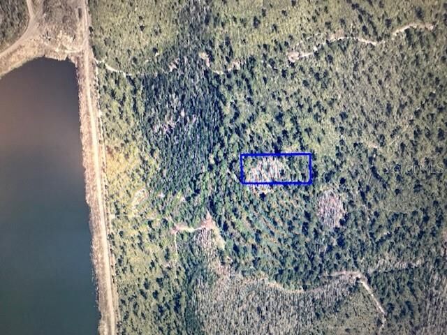 Property Photo:  Dill Road  FL 32820 