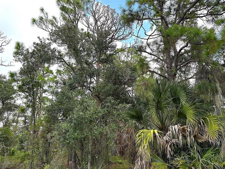 Property Photo: 14060 Dunlap Avenue FL 33953