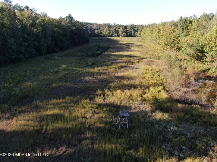 Property Photo: 1000 Colston Road MS 38635