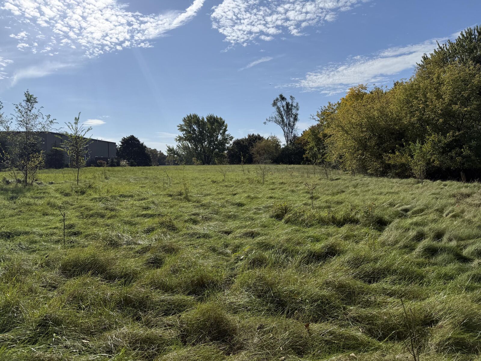 Property Photo:  Lot 3 W Main St  WI 53183 