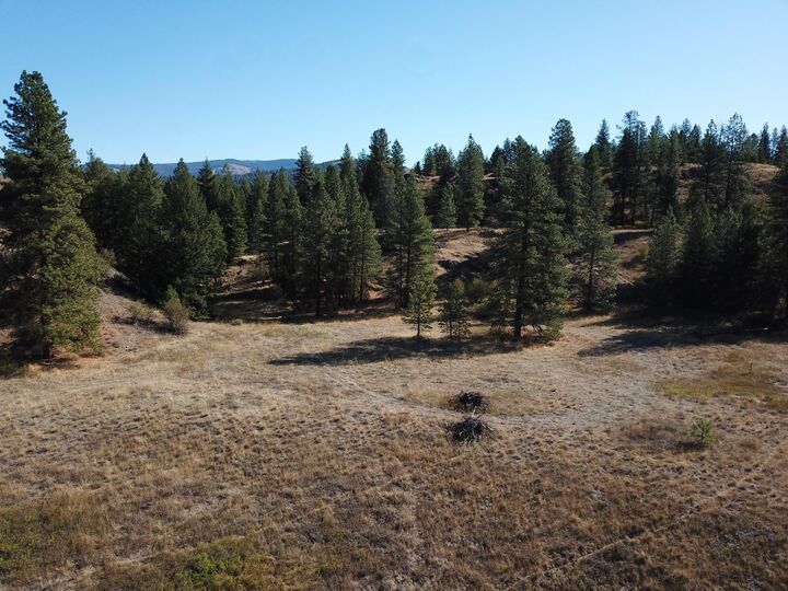 Property Photo: 68 Jostin Ln WA 99150