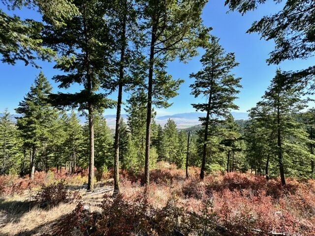 Property Photo:  Parcel 2A Dry Gulch Road  MT 59804 